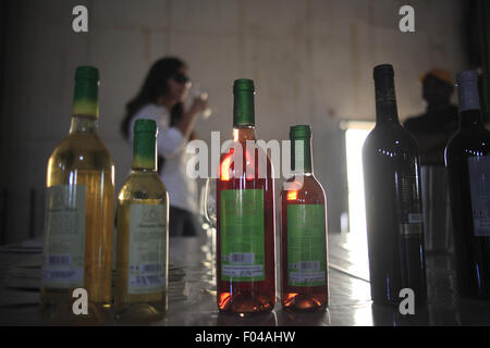 Nasik, Maharashtra, Indien. 27. April 2013. 26. April 2013: Nasik, Indien. Weinkenner auf eine Weinprobe an der Bar im Schloss d'Ori in Nasik.The westlichen indischen Stadt Nashik gilt als "Wein Hauptstadt Indiens". Der insgesamt 79 Weingüter des Landes hat Nashik allein 34. Die berühmten Weingüter in Nasik gehören Sula, Chateau Dori, Zampa, York & N.D. Weine. © Subhash Sharma/ZUMA Draht/Alamy Live-Nachrichten Stockfoto