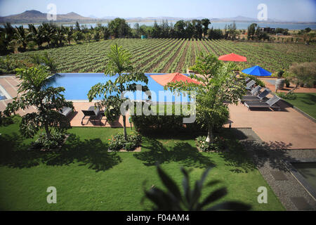 Nasik, Maharashtra, Indien. 26. April 2013. 26. April 2013: Nasik, Indien. Liegt nur einen kurzen Entfernung von Sula Weingut Â "jenseits" ist ein Resort mit 35 Zimmern Urlaub. Sula Weinberge Märkte als die perfekte Oase der Ruhe für sich Städter betont. Nehmen Sie ein Bad im Pool Weinberg, gehen für eine gemütliche Radtour auf der kurvenreichen Landstraßen, genießen Sie die friedliche Aussicht oder einfach genießen Sie köstliche Speisen und dabei auf Sula Weine. Darüber hinaus ist ganz einfach ein Stück vom Paradies. Darüber hinaus bietet eine besondere Auswahl an Zimmern, jedes mit einem Balkon sitzen und einen schönen Bergblick. Sula Weinberge ich Stockfoto