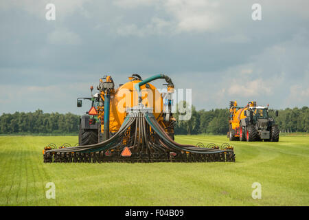 Injektion von Gülle mit zwei Traktoren und gelbe Geier Streuer Anhänger Stockfoto