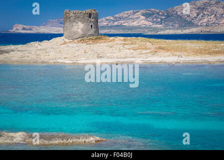 Sommer auf Sardinien Stockfoto