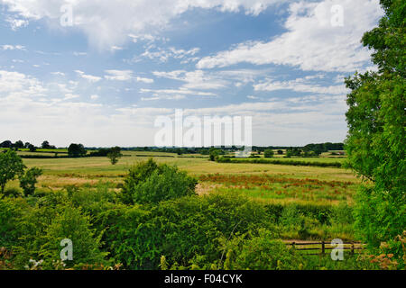 Staffordshire-Felder und die Landschaft in der Nähe von Tamworth Stockfoto