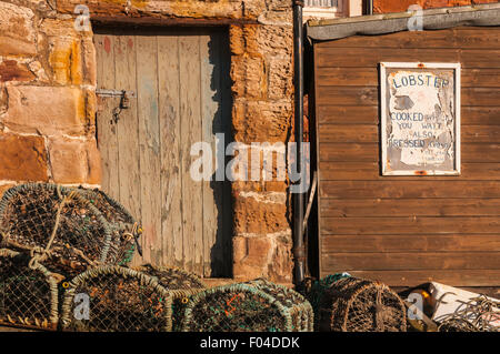 Ein Hummer-Verkäufer-Hütte und Töpfe, Ostküste Schottlands Stockfoto