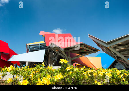 PANAMA CITY, Panama — das Biomuseo wurde im Oktober 2014 für Besucher geöffnet und befindet sich in einem markanten Gebäude, das von dem berühmten Architekten Frank Gehry entworfen wurde. Es konzentrierte sich auf die Artenvielfalt Panamas und die besondere Rolle, die der Panamaische Isthmus als Landbrücke zwischen Nord- und Südamerika gespielt hat. Es liegt am Panama City's Causeway, mit Blick auf den Pazifik auf der einen Seite und den Eingang zum Panamakanal auf der anderen Seite. Stockfoto