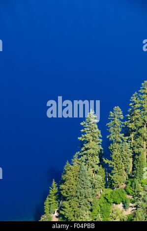 Bäume gegen Kratersee Crater Lake Nationalpark, Oregon Stockfoto