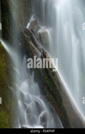 Nationalen Creek Falls, Rogue River National Forest, Oregon Stockfoto