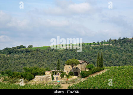 Landhaus, Weinberge, Radda in Chianti, Provinz Siena, Toskana, Italien Stockfoto