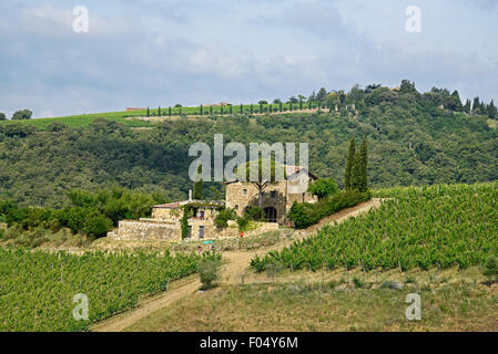 Landhaus, Weinberge, Radda in Chianti, Provinz Siena, Toskana, Italien Stockfoto