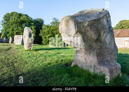 Avebury Stone Circle, North West Viertel der Henge. Zeile der Neolithischen stehende Steine werfen lange Schatten in den frühen Morgen unter strahlend blauem Himmel. Stockfoto