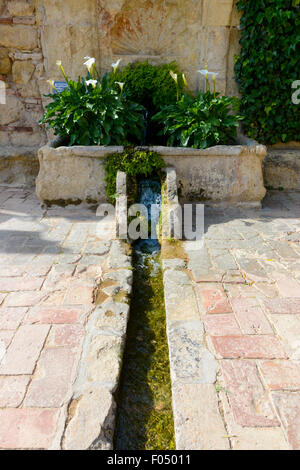 Alcázar de Los Reyes Cristianos in Cordoba und Córdoba, Spanien Stockfoto