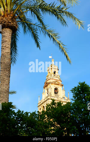 Der Glockenturm der Mezquita in Cordoba und Córdoba, Spanien Stockfoto