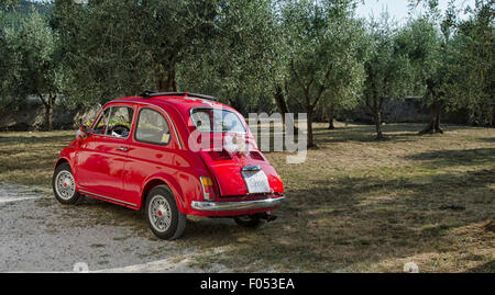 Fiat 500 dekoriert für eine Hochzeit in Italien Stockfoto