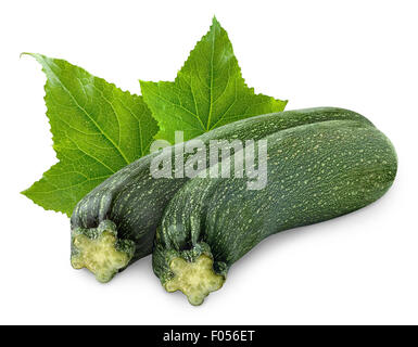 Zucchini, isoliert auf weiss Stockfoto