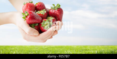 Nahaufnahme von Frau Händen mit Erdbeeren Stockfoto