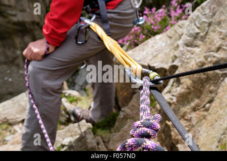 Bergsteiger mit einem Rock Kletterseil in Absicherbare gebunden bei einem Aufstieg mit Klebeband und Karabiner. Wales, Großbritannien, Großbritannien Stockfoto