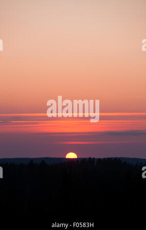 Sonnenuntergang über Wald Stockfoto