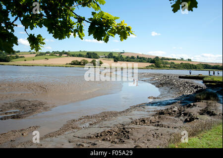 Zwei Männer waten im seichten Wasser die schlammige Flussmündung am Hafen Eliot Festival Cornwall Stockfoto