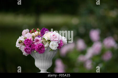Vintage Rosen in einer vase Stockfoto