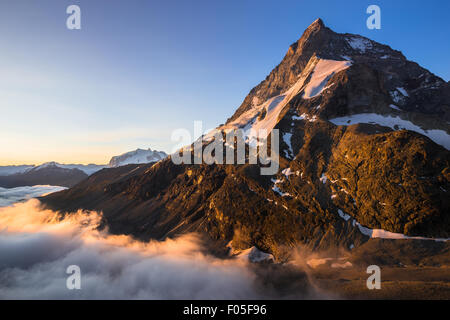 Alpenglow bei Sonnenaufgang am Matterhorn (Cervino) Berg. Der nord-westlichen Seite, Zmutt Ridge. Zmutttal, Zermatt, Schweizer Alpen. Die Schweiz. Stockfoto