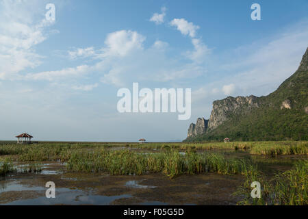 Sumpf im Nationalpark Sam Roi Yot Prachuap Khiri Khan Province Stockfoto