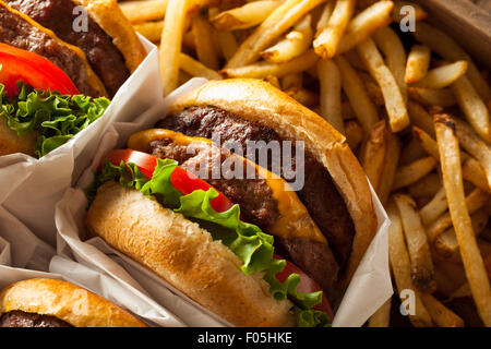 Doppel-Cheeseburger und Pommes frites in einer Schale Stockfoto