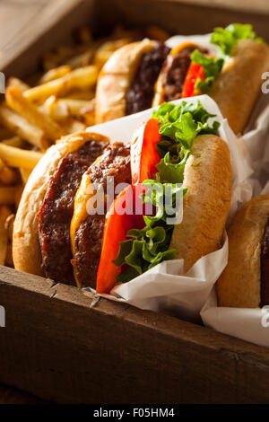 Doppel-Cheeseburger und Pommes frites in einer Schale Stockfoto