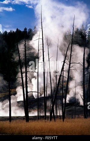 USA, Wyoming, Yellowstone-Nationalpark, geothermischen Dampf steigt aus Stockfoto