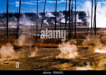 USA, Wyoming, Yellowstone-Nationalpark, geothermischen Dampf steigt aus Stockfoto