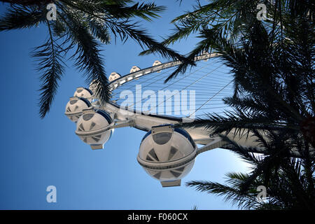 Dies ist eine Aufnahme unter dem Riesenrad in Las Vegas durch Palmen. Stockfoto