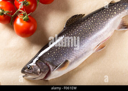 Köstliche frische rohe Forelle mit Tomaten Stockfoto