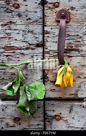 Klopfer und welke gelbe Rose Blume auf Holztür. Stockfoto