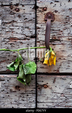 Klopfer und welke gelbe Rose Blume auf Holztür. Stockfoto