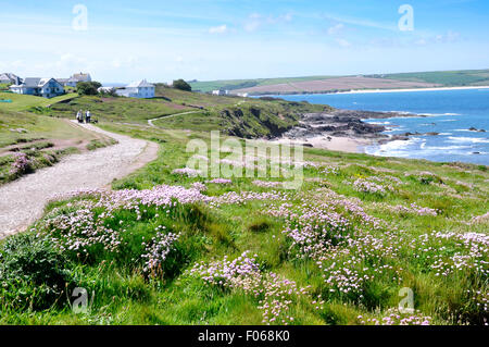 Nordcornwall Küste Weg - Blick über Klippen - Wildblumen - Sonne - Meer + Himmel - in Richtung Daymer Bay-fernen Wanderer Stockfoto