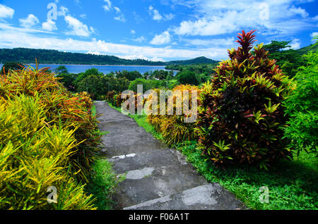 Bunte Pflanzen auf dem Weg zu den Gewürzinseln Fort Belgica, Banda Neira, Indonesien, Stockfoto