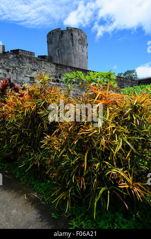 Bunte Pflanzen umgeben Fort Belgica, einer alten holländischen Festung in Banda Neira, Banda See, Indonesien, Pazifischer Ozean Stockfoto