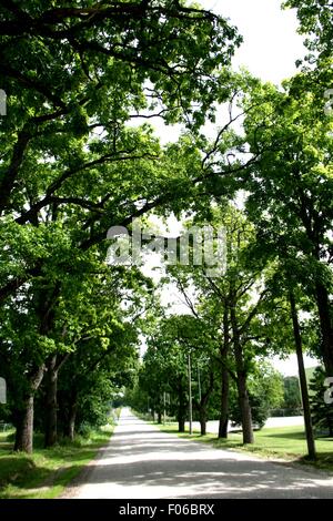 Gasse Stockfoto