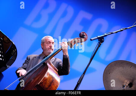 Brecon Jazz Festival Powys, Wales, UK. August 2015. Brecon Jazz 2015 die Durchführung von Scott Hamilton Quartett im Teatro Brycheiniog. Das Foto zeigt Dave Green am Bass. Stockfoto