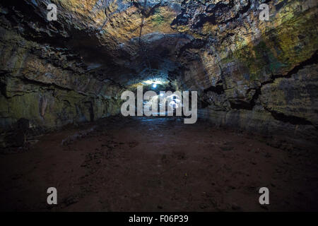 Innenraum einer Lava-Röhre in der Nähe von Puerto Ayora auf Isla Santa Cruz Island. Galápagos-Inseln, Ecuador 2015 Stockfoto