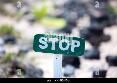 Grünes Holz Stoppschild Verlegung in die Felsen am Strand, um die Natur zu schützen. Galapagos-Inseln, Ecuador 2015. Stockfoto