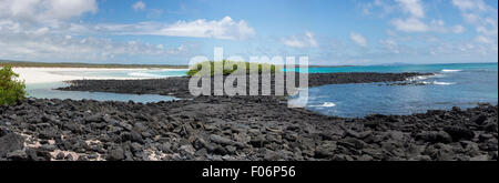 Panorama von Tortuga Bay in der Nähe von Puerto Ayora gegen blau bewölktem Himmel auf den Galapagos Inseln. Ecuador-2015 Stockfoto