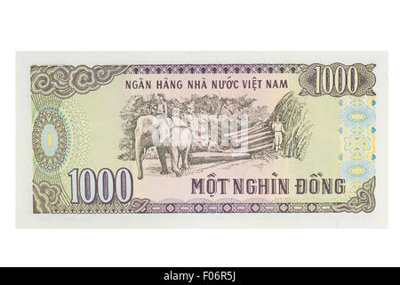 Tausend vietnamesischen Dong Banknote auf weißem Hintergrund Stockfoto