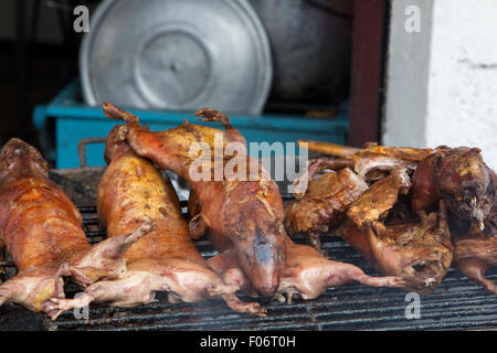 Meerschweinchen in Ambato Straße in der Markthalle in Banos Ecuador gegrillt wird. In Ecuador, Meerschweinchen (cuy) Stockfoto