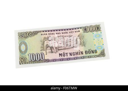 Tausend vietnamesischen Dong Banknote auf weißem Hintergrund Stockfoto