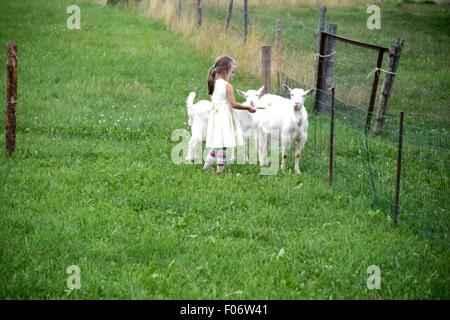 Mädchen mit weißen Ziegen Stockfoto