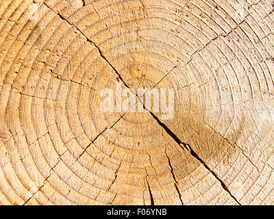 Stapel von neuen hölzernen Stollen auf dem Holzplatz Stockfoto