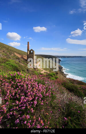 Die Towanroath Welle Pumpen Maschinenhaus bei Wheal Coates auf St. Agnes Kopf zwischen Kapelle Porth und St. Agnes, Cornwall Stockfoto