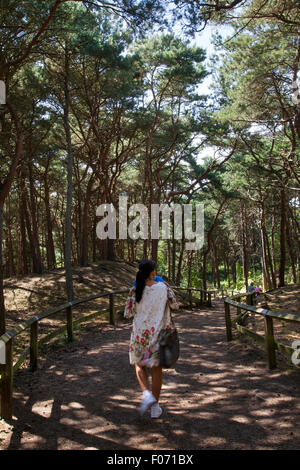 Pinewoods Wildlife Habitat im Freshfield Reserve des National Trust, Formby, Merseyside, Großbritannien. August 2015. Touristen besuchen das Formby Squirrel Nature Reserve, um die roten Eichhörnchen in ihrer natürlichen Umgebung zu sehen und an einem herrlichen Sommernachmittag kilometerlange Spaziergänge an der Küste zu genießen. Stockfoto