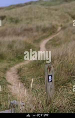 Der South West Coast Path schlängelt sich durch die Sanddünen von Penhale Sands, in der Nähe von Perranporth, Cornwall Stockfoto