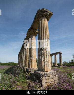 Pfälzer Tabellen, Hera-Heiligtum in Metaponto, Basilikata, Italien Stockfoto