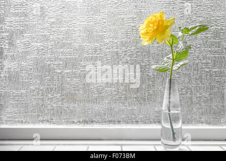 Einzelne gelbe Rose in einem hellen Fenster Stockfoto