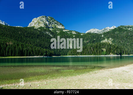 Die malerischen Schwarzsee im Sommer. Durmitor National Park, Montenegro, Balkan Stockfoto